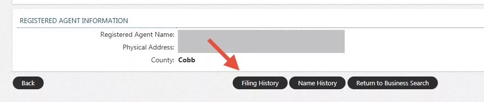 Step 5 View the Filing History